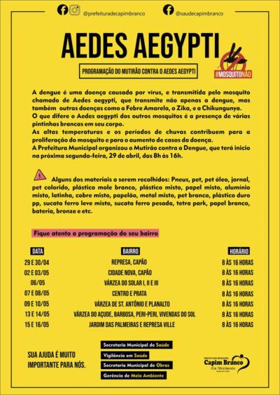 Programação do Mutirão contra o Aedes aegypti