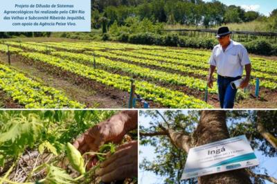 Capim Branco é destaque em Agroecologia e Produção de Orgânicos 