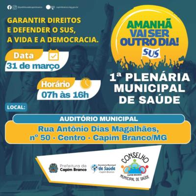1ª PLENÁRIA MUNICIPAL DE SAÚDE