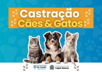 CASTRAÇÃO DE CÃES E GATOS 2023