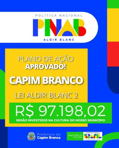 PLANO DE AÇÃO DA LEI ALDIR BLANC 2: APROVADO