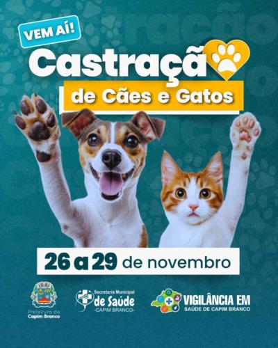 VEM AÍ! A CASTRAÇÃO DE CÃES E GATOS - 2024
